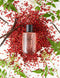 Pink Pepper Eau de Toilette 100ml